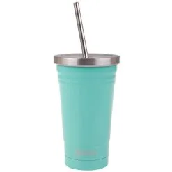 Oasis Double Wall Insulated Tumbler W/Straw
