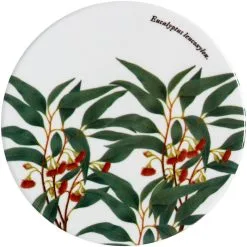 Maxwell And Williams Royal Botanic Gardens Victoria Coaster - Flowering Gum