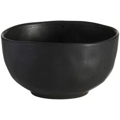 Ecology Speckle Ebony Noodle Bowl