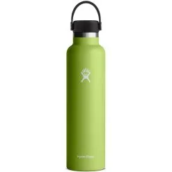 Hydro Flask 24oz Standard Mouth Flex Cap - Seagrass