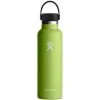 Hydro Flask 21oz Standard Mouth Flex Cap - Seagrass